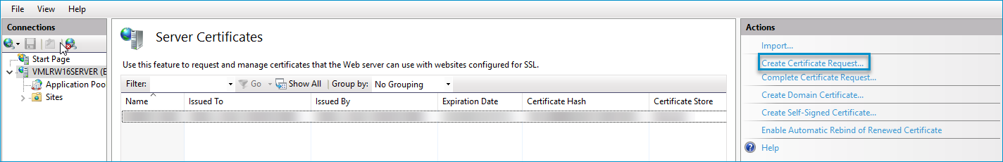 iis actions create certificate request pane