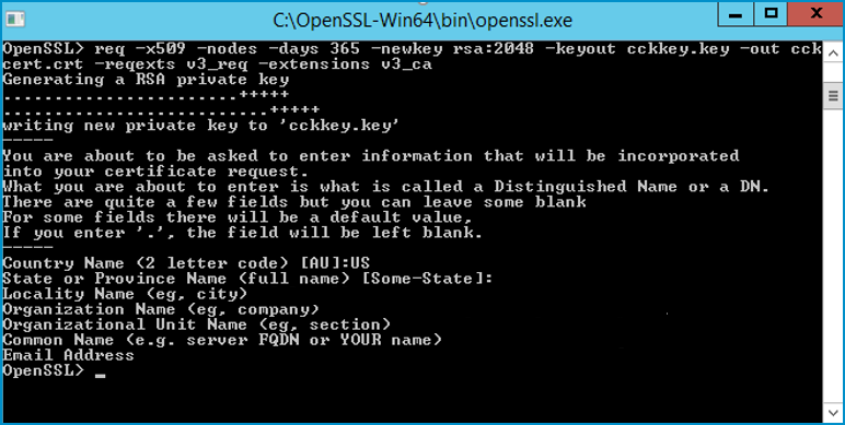 openssl executable file 