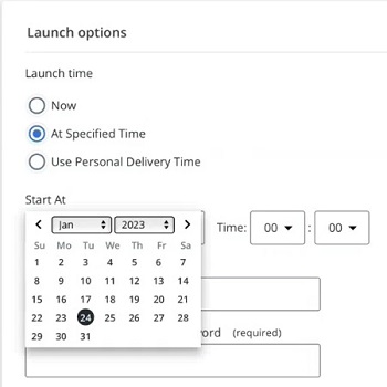 Screen capture of launch options showing calender date selector