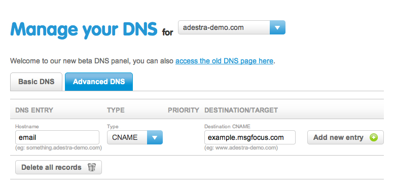 Screen capture of a DNS manager showing the fields of a typical DNS management form.