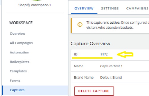 Screen capture showing the location fo the Cpature ID in Adestra.
