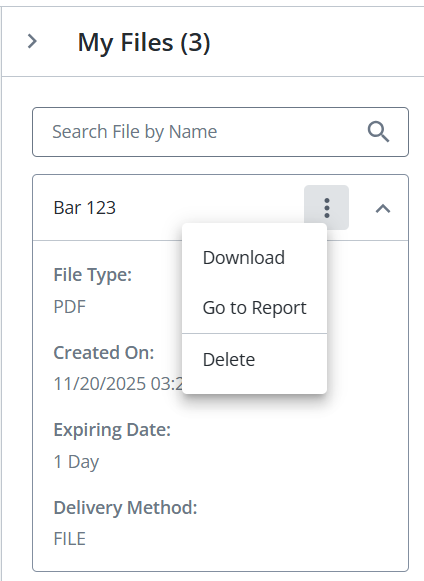 Screen capture showing an example of the see more menu for a file in the My Files menu with the options to Download, Go to Report, or Delete.