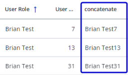 Screen capture of a table where the concatenate custom field includes the text from the user role field and the user role ID field.