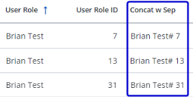 Screen capture of a table where the concatenate custom field includes the text from the user role field and the user role ID field separated by a # and a space.