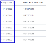 Screen capture showing a custom field which inserts today's date.