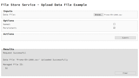 Uploading a Data File to the File Store