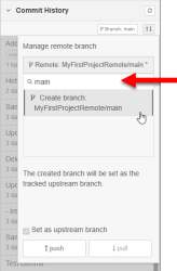 Commit History panel, with the manage remote branch selected. The main branch (only one showing) is highlighted. 