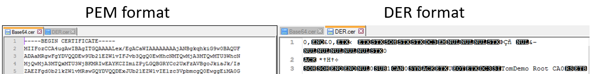 A sample of DER format, showing symbols in place of characters.