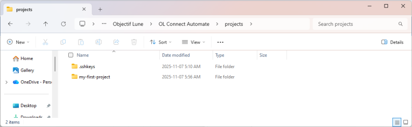 Wiindows Explorer window, showing the project folder.
