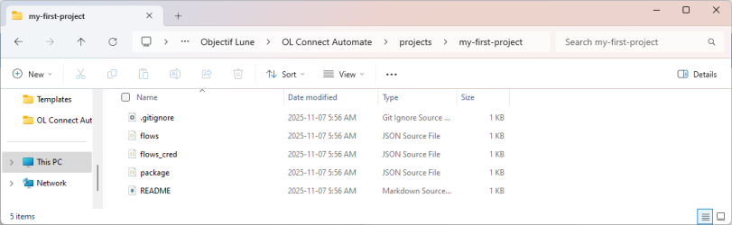 Wiindows Explorer window, showing the files in the project folder.