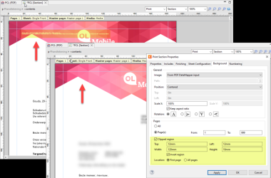 Before and after, showing the image with visible background text, and the image after a clipped region has been selected and defined by entering the boundaries: top, left, width, and height. The text is no longer visible in the image.  