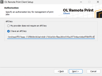 Window to select using an API key and enter the key.