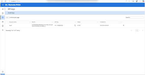 Screenshot of the API keys list. 