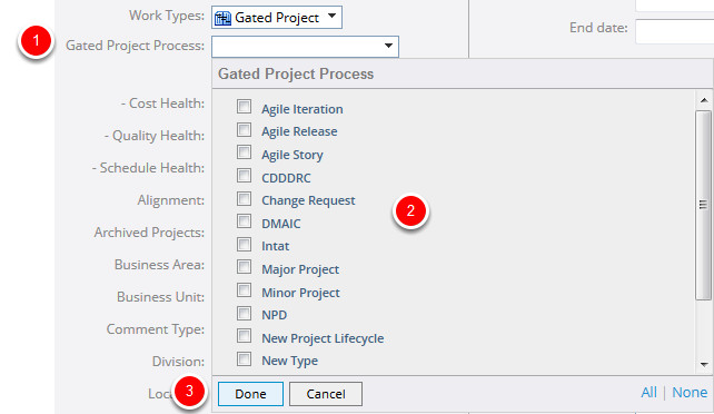 Select Gated Project Process (Optional)