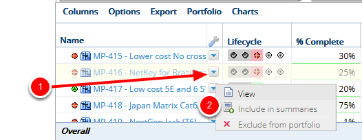 Select Item to Include in Summary