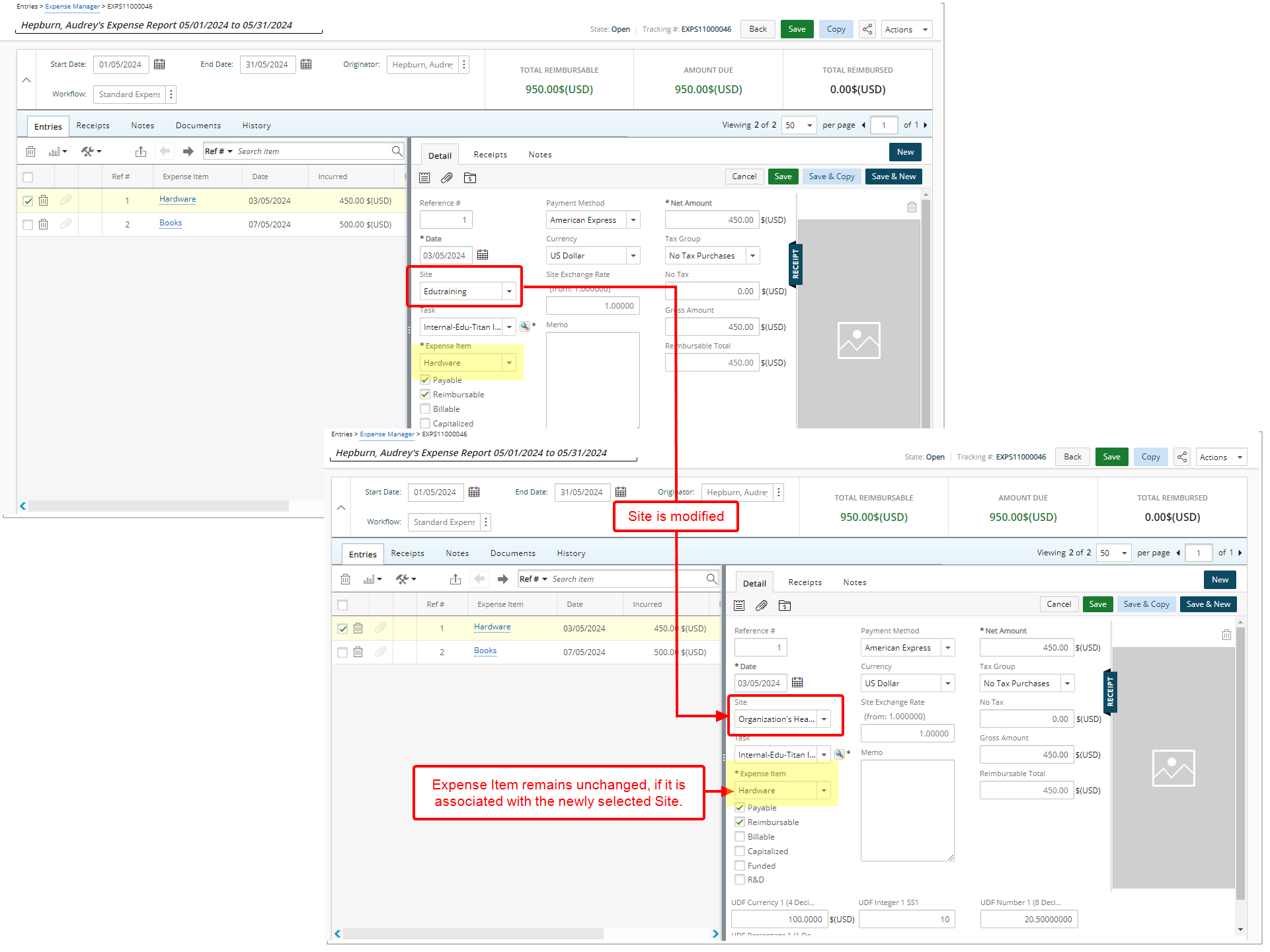 Automatically Retain Expense Items for Site Updates