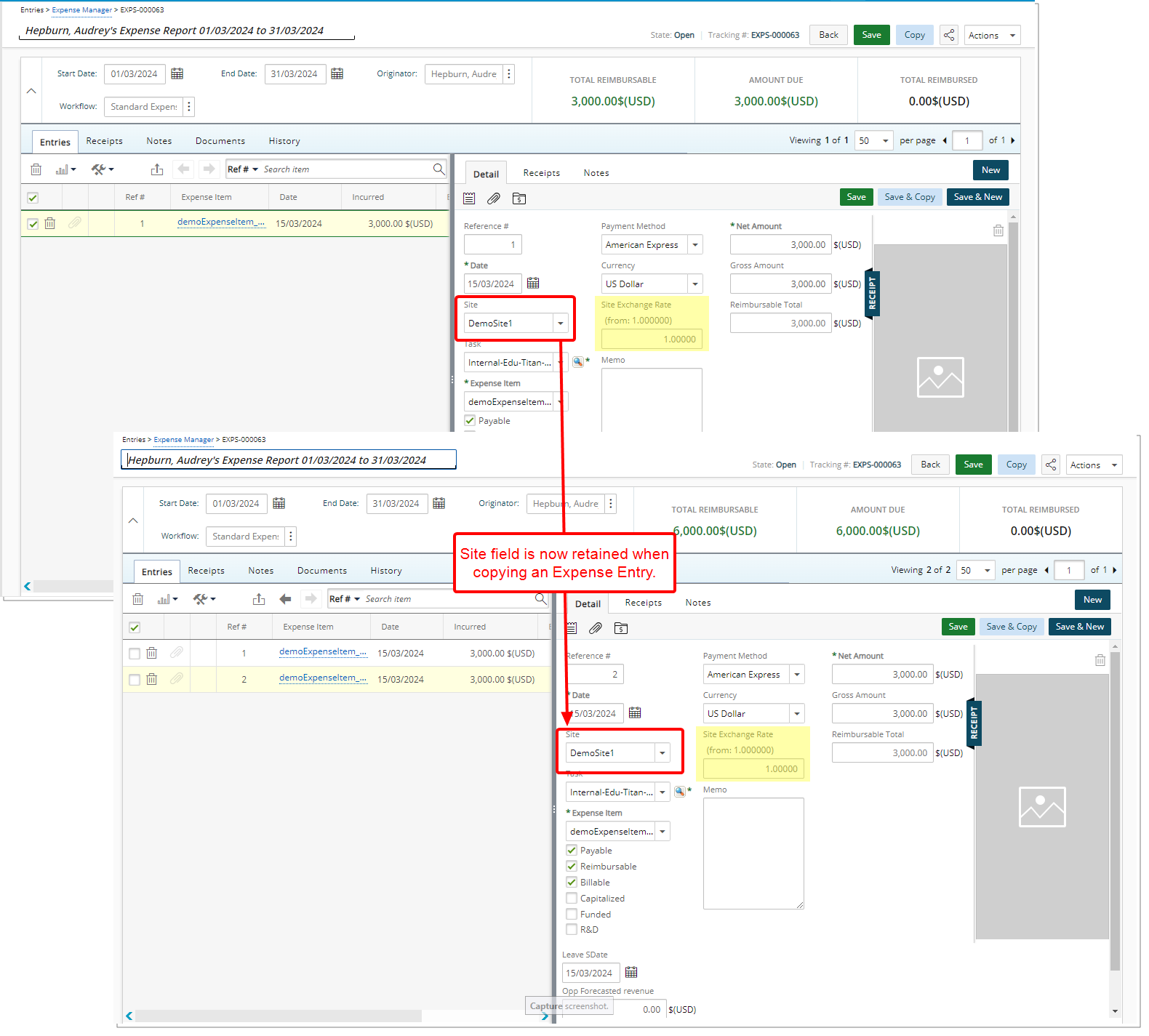 Enhanced Expense Entry Copying