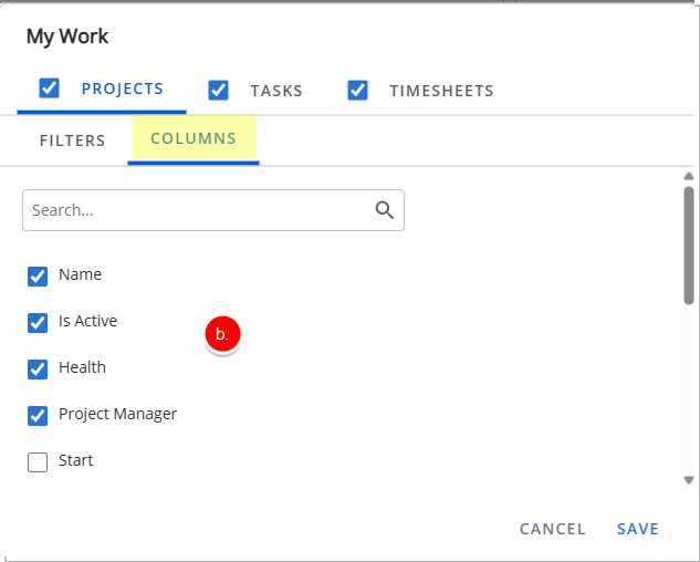 Configuration - Projects tab