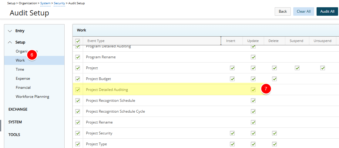 Project Detailed Auditing
