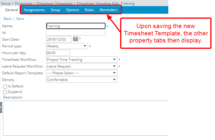 View the Timesheet Template properties that can be set