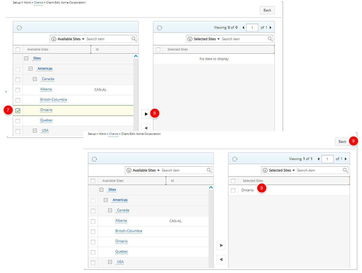 Enter specific organization information