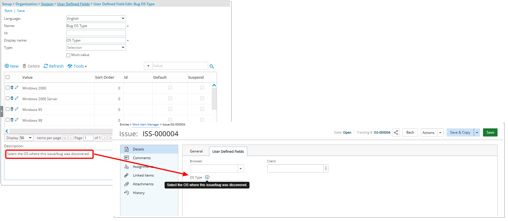 View User Defined Field Descriptions via Hover for Enhanced Clarity
