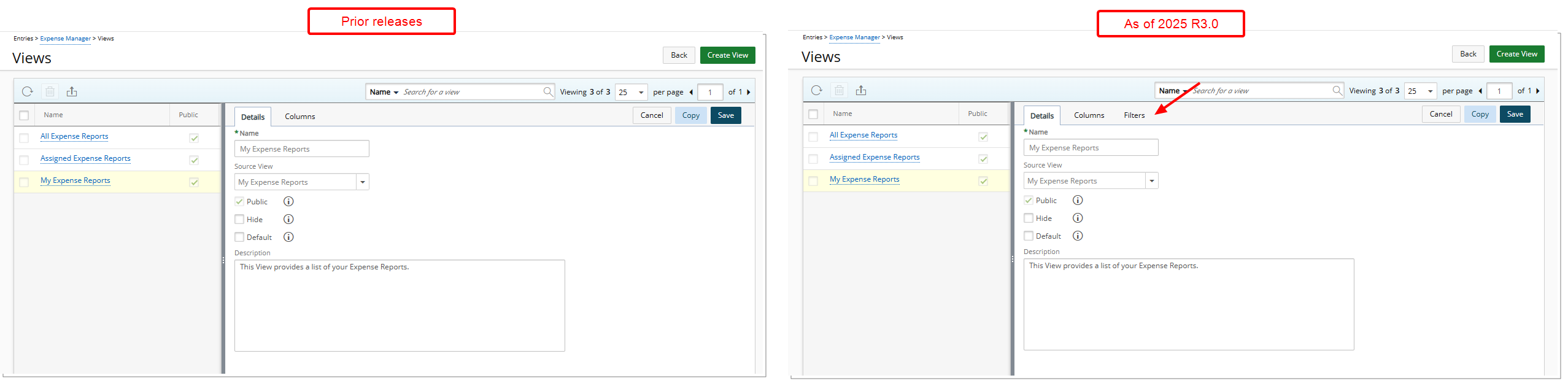 Addition of Filter Customization to Public Views in Expense Manager