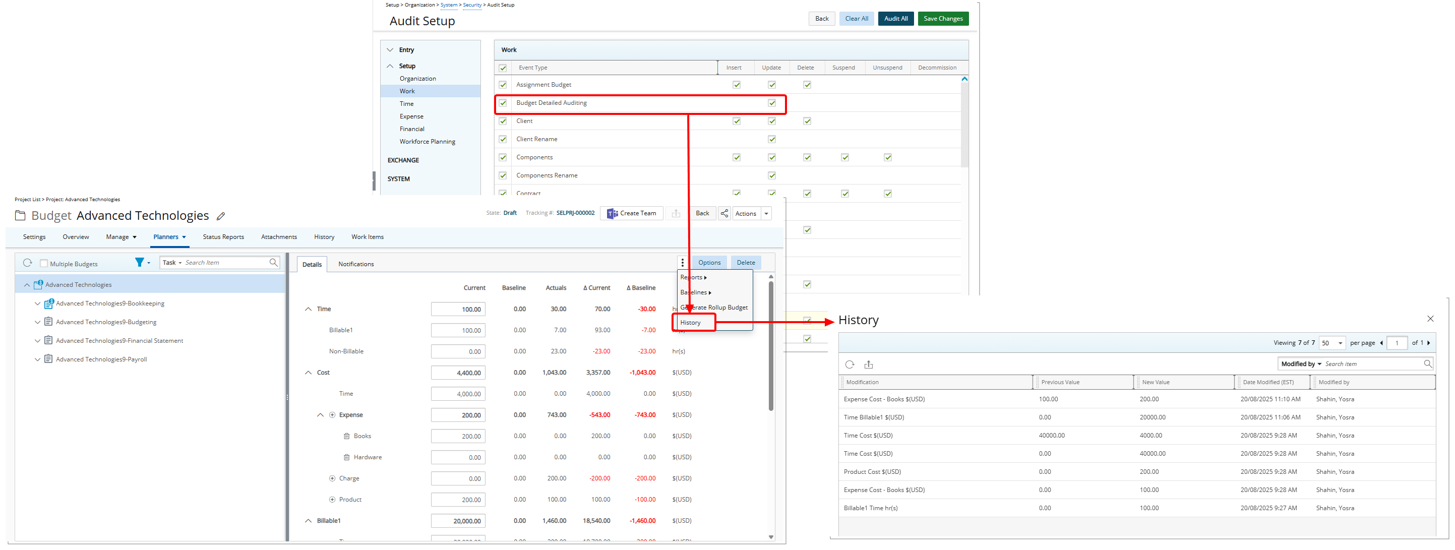 Budget Detailed Auditing