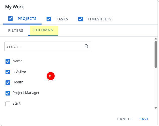 Configuration - Projects tab