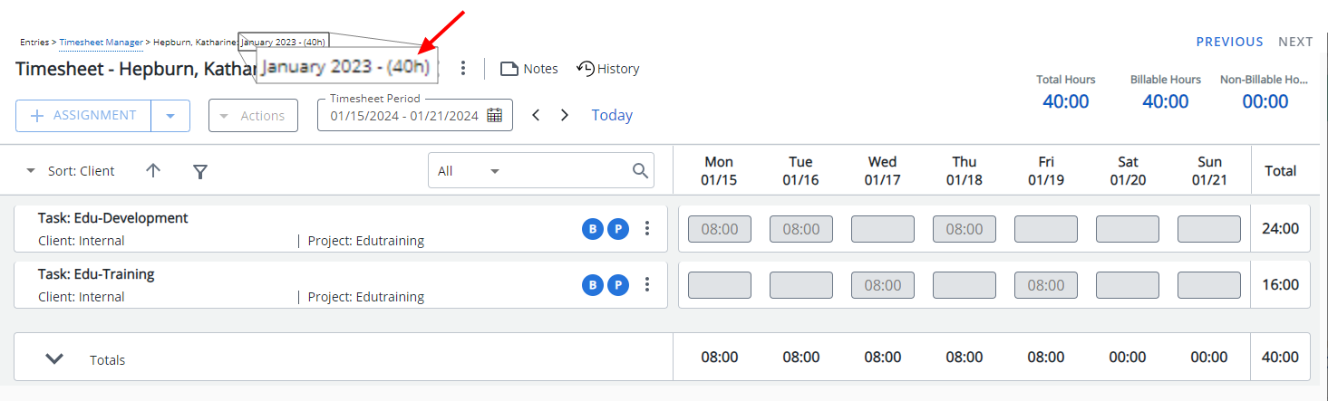 Afficher le nom du modèle de feuille de temps