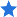 solid star icon