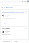 Expanded Comments panel