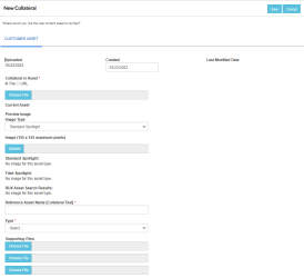Customer Asset